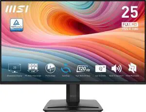 MSI 25 Full HD 120Hz IPS Monitor MP251 E2