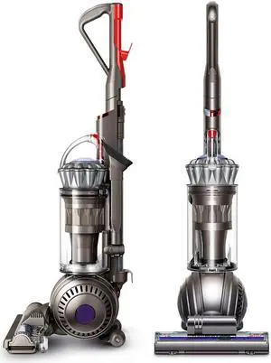 Dyson Ball Animal 2 Upright Vacuum | Iron