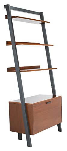 SAFAVIEH Home Collection Vlad Honey Brown/Charcoal 3-Tier 1-Door Leaning Storage Display Shelves Living Room Bedroom Office Etagere