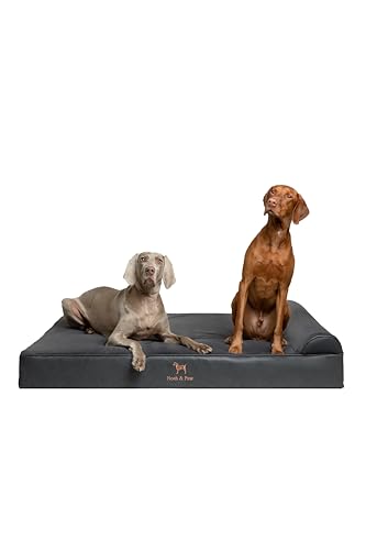 NOAH & PAW Giant Dog Bed XXL 55x45x9.5 Inch, Orthopedic Dog Beds, Eggshell Memory Foam Infused with Cooling Gel, Water Resistant, Machine Washable, Includes Inner Cover (Faux Leather)