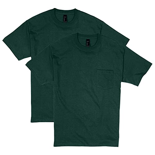 Hanes Mens 2 Pack Short Sleeve Pocket Beefy-t, Deep Forest, Medium