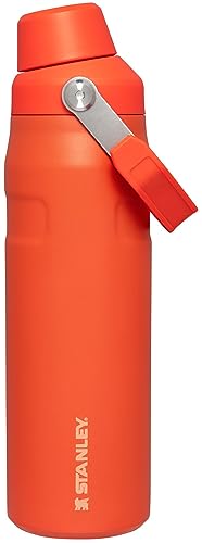 Stanley IceFlow Fast Flow Water Bottle 24 oz | Angled Spout Lid | Lightweight and Leakproof for Travel and Sports | Insulated Stainless Steel | BPA-Free | Tigerlily