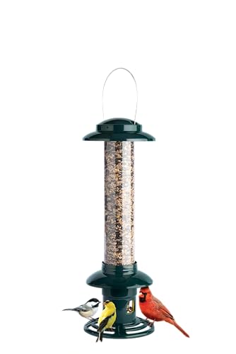 Squirrel Buster Evolution Truly Squirrel-Proof Bird Feeder, Double Cardinal Ring, 1.9-Pound Seed Capacity, Green