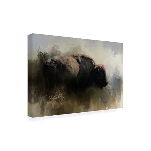 Trademark Fine Art -Jai Johnson 'Abstract American Bison' Canvas Art - 30''x47''