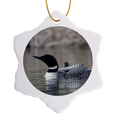 3dRose British Columbia. Common Loon with chick-CN02 CSL0062 - Charles Sleicher 3 inch Snowflake Porcelain Ornament