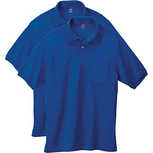 Hanes mens Short-sleeve Jersey Pocket (Pack of 2) polo shirts, Deep Royal, Medium US