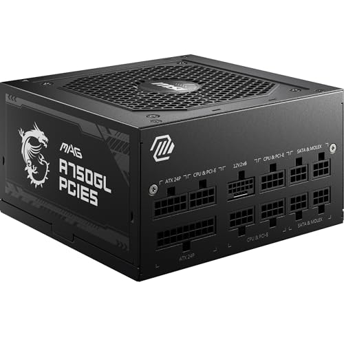 MSI MAG A750GL PCIE5 - EU Cord