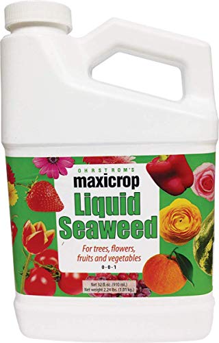 Maxicrop Original Liquid Seaweed, 1 Gallon (Packaging May Vary)