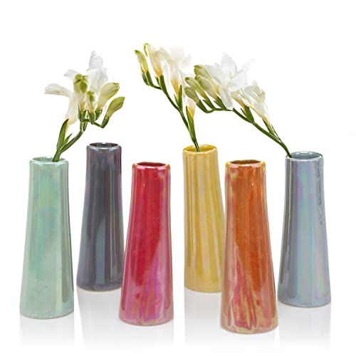 Chive - Set of 6 Galaxy, 1.5" in Wide 5.5" Tall Small Cylinder Ceramic Bud Flower Vase, Unique Single Flower Decorative Floral Vase for Home Decor, Bulk (Yellow, Green, Red, Blue, Orange)