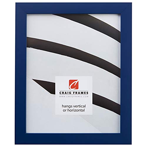 Craig Frames Confetti, Modern Blue Picture Frame, 12 x 16 Inch