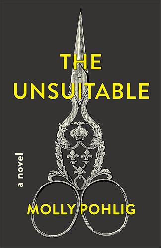 The Unsuitable: A Novel