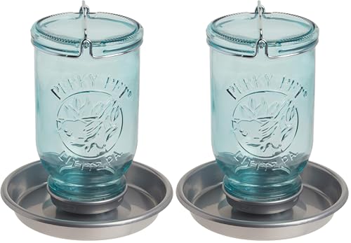 Perky-Pet 1 Mason Jar Wild Bird Waterer 783, Blue (Pack of 2)