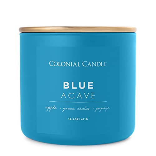 Colonial Candle Blue Agave Scented Jar Candle, Pop of Color Collection, 3 Wick, 14.5 oz - Up to 60 Hours Burn