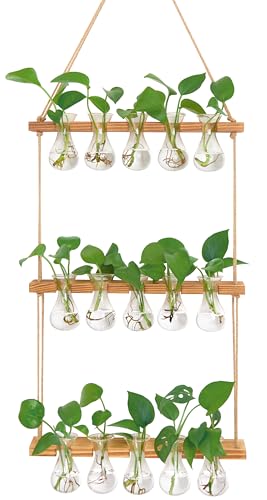 XXXFLOWER Wall Hanging Propagation Station with Wooden Stand 5 Bulb Vase 3 Tiers Planters Wall Terrarium for Home Office Plant Hanger Flower Vases Wall Decor