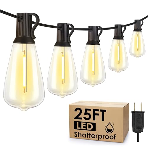 Larkvue 25FT Outdoor String Lights, Patio Lights with 10+1 LED Dimmable Waterproof Shatterproof ST38 Retro Edison 2700K Bulbs for Balcony Yard, Black