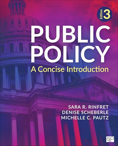 Public Policy: A Concise Introduction