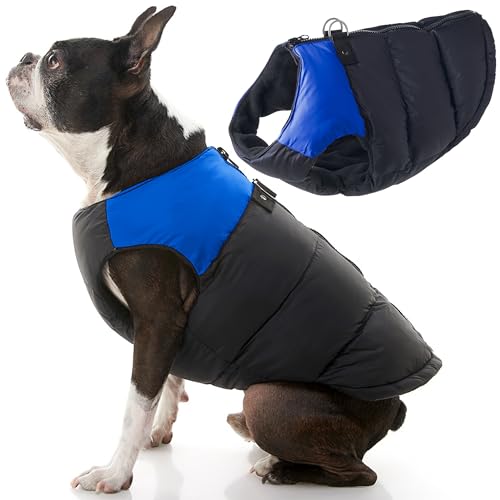Gooby Padded Vest Dog Jacket - Blue, Large - Warm Zip Up Vest Fleece Jacket with Dual D Ring Leash Water Resistant for Small to Medium Dogs