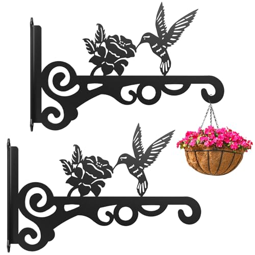 2-Pack Aesthetic Wall Plant Hanger Indoor and Outdoor – 10 Inch Metal Hanging Plant Bracket with Beautiful Bird Pattern – Anti Rust Plant Hooks for Hanging Plants, Bird Feeder, Wind Chime, Lantern