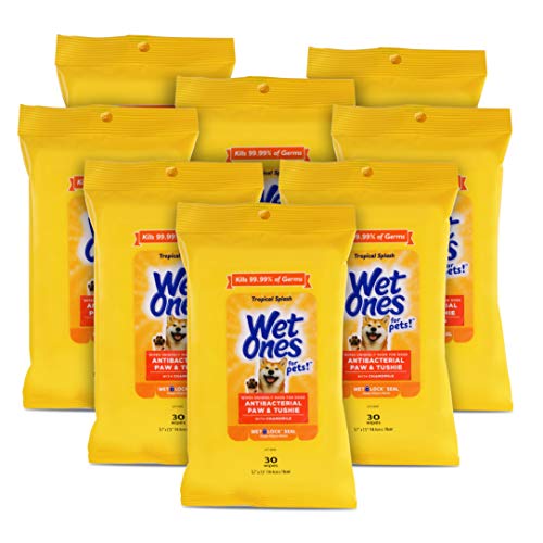Wet Ones for Pets Paw and Tushie Dog Wipes with Chamomile, Tropical Splash Scent - Cleansing Grooming Wipes for Dog Paws and Butt Between Baths, Wet Lock Seal, 30 Count - 8 Pack