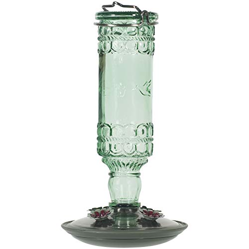 Perky-Pet Glass Bottle Hummingbird Feeder - Outdoor Garden Décor Humming Bird Feeder,8108-1SR - 10 Fl Oz Nectar Capacity - Durable Green Antique Design - Hang from Tree,Porch,Deck,Hook,(Pack of 6)