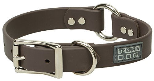 Terrain D.O.G. Brahma Webb Hunting Dog Collar