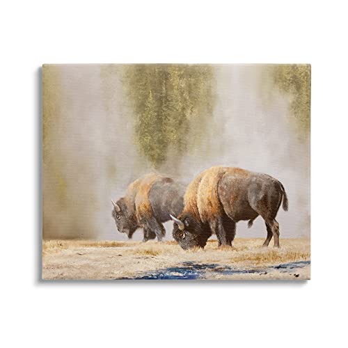 Stupell Industries Bison Wildlife Photography Canvas Wall Art, Design by Mark Kelso