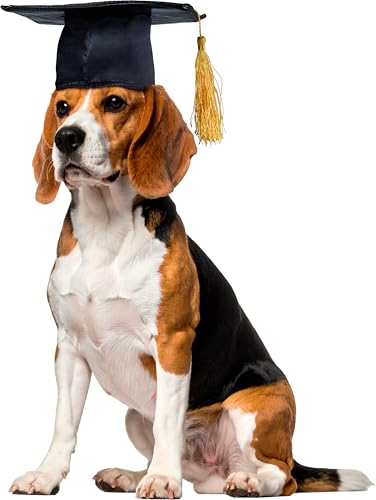 Rubies Graduate Pet Hat for Dogs or Cats, S/M