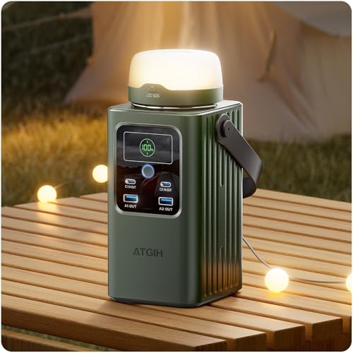 Camping Portable Power Station 198.4 Wh (62000mAh), [Top Safety] 100W Fast Charging Power Bank with LiFePO4 Battery, Small Generator with Detachable Light for Travel Home Backup Outdoor Emergency
