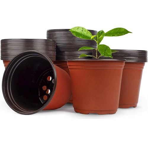 Hdeoops 100 PCS Plastic Nursery Pots 6 Inch Seed Starting Pots for Succulents, Seedlings, Cuttings, Transplanting