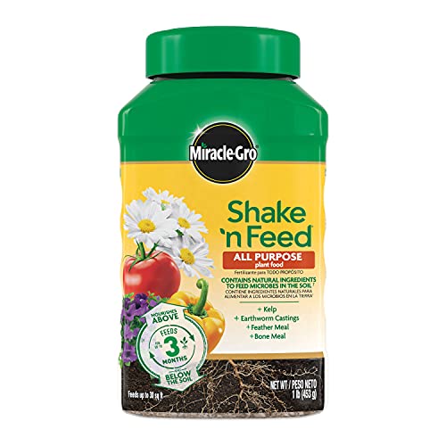 Miracle-Gro Shake 'N Feed All Purpose Plant Food - Outdoor and Indoor Plant Food for In-Ground and Containers, Feeds for up to 3 Months, 1 lb.