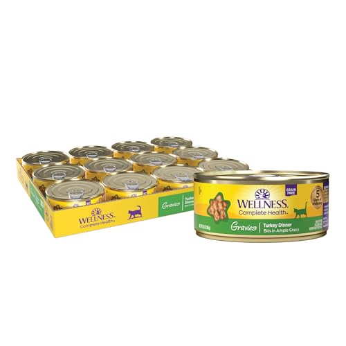 Wellness Complete Health Gravies Adult Canned Wet Cat Food, Natural, Protein Rich, Grain Free, Turkey Dinner Recipe, 5.5 oz, Pack of 12 Cans
