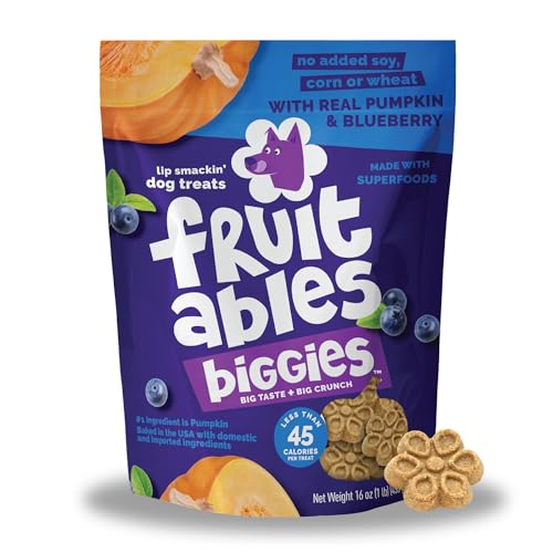 Fruitables Biggies Dog Biscuits, Healthy Treats for Dogs, Doggie Biscuits, Crunchy Pumpkin Treats, Made Without Wheat, Corn and Soy, Made in the USA, Pumpkin and Blueberry Flavor, 16oz