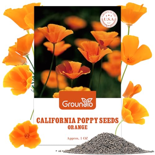 Groundio California Poppy Seeds, 1 Ounce Over 20000+ Seeds, Non-GMO | Heirloom | Sourced from USA- Eschscholzia Californica, USDA Zone 5-10