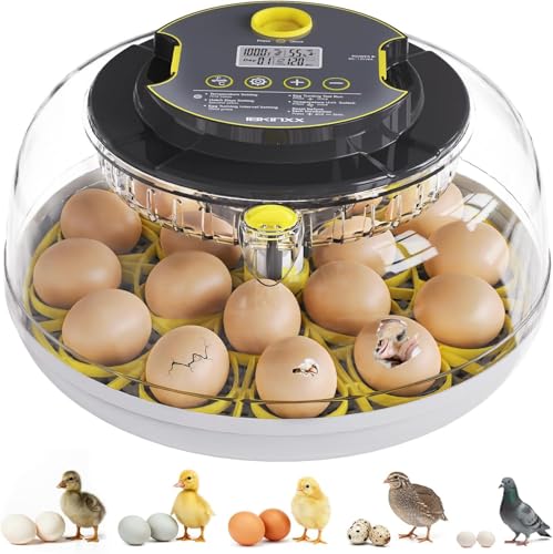 IBKINXX Incubator for Hatching Eggs-18 Egg Capacity, Automatic Egg Turner, Temperature & Humidity Control, 360° Viewing for Chicken, Duck and Quail Eggs