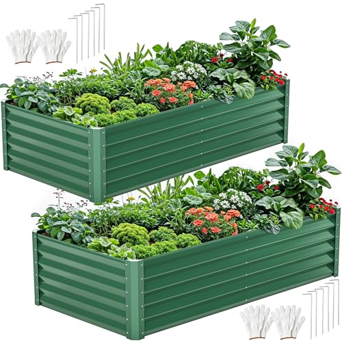 DWVO 2pcs 6 x 3 x1.5 FT Raised Garden Bed Kit, Outdoor Galvanized Flower Bed with Gloves, Large Metal Planter Box for Vegetables, Flowers, Herbs, Fruits, Green