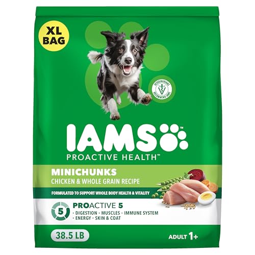 IAMS Proactive Health Adult Minichunks Dry Dog Food Chicken & Whole Grain Recipe, 38.5 lb. Bag