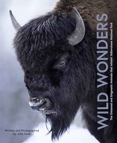 Wild Wonders: The Untamed and Enigmatic Animals that Inhabit Yellowstone National Park