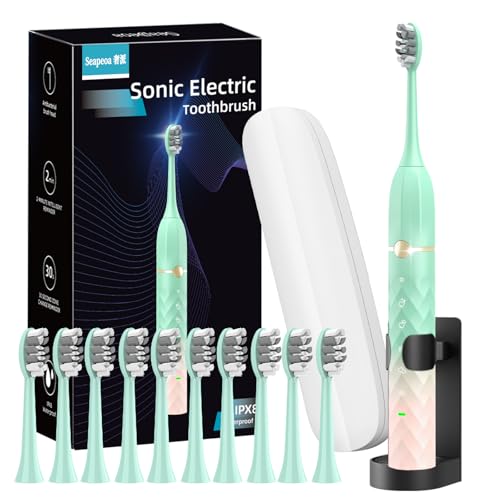Sonic Electric Toothbrush Set, Equipped with 10 Brush Heads and Travel Case, IPX8 Waterproof, 2-Minute Timer, 42000 High-Frequency Vibrations, 5 Modes, The First Choice for Gift Giving, Green Pink