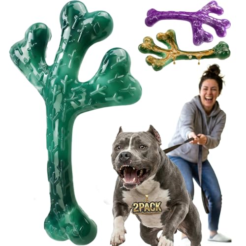 Frienhund 2 Pack Indestructible Dog Chew Toys for Aggressive Chewers - Textured Cactus with Grooves for Peanut Butter & Yogurt, Beef Nylon Bones for Large Dogs 20-90 lbs, Easy Chew & Long Lasting
