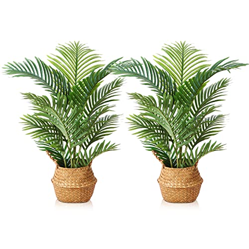 LOMANTO Fake Majesty Palm Plant 3Ft Artificial Tree for Home Decor Indoor Small Faux Trees in Pot Fake Tropical Plants for Housewarming 2Pack