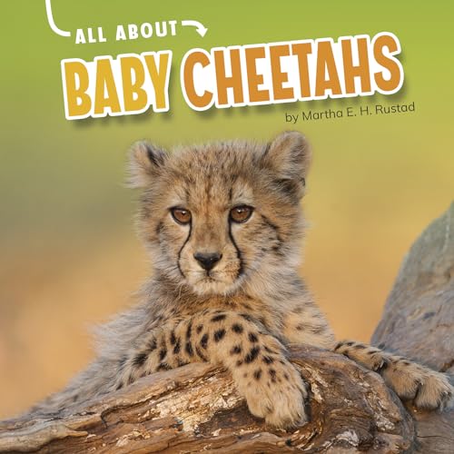 All About Baby Cheetahs (Oh Baby!)