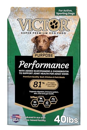 VICTOR Super Premium Dog Food – Performance Dry Dog Food from Beef, Chicken and Pork Meal – 26% Protein for Active Adult Dogs – Includes Glucosamine and Chondroitin for Hip and Joint Health, 40lbs