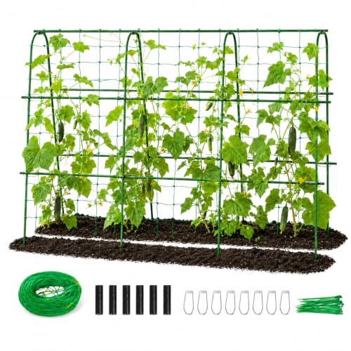 FOLLOOK Cucumber Trellis for Raised Garden Bed, Rustproof Metal Garden Arch Trellis for Climbing Plants Support Outdoor Fruit Grape Vine Vegetable Tomato Bean Pea Trellis, 63x48inch, Green
