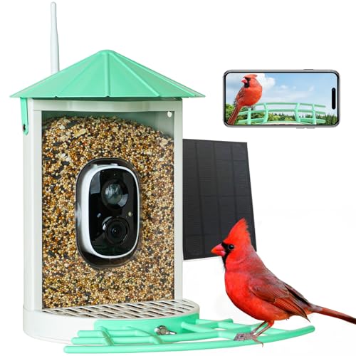 Birdkiss Smart Bird Feeder with Camera Solar, Auto Capture Bird Videos & Motion Detection, Birds Watching Camera Notify in Time, Metal Birds Feeder with Seed Guard, Ideal Present for Mom (Green)