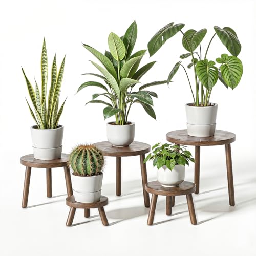 Delma Wood Plant Stands Indoor, 5-Pack Single Plant Stand for 6-12 Inch Pots, Mid-Century Modern Plant Stool, Tall Plant Stand for Large Plants for Living Room, Balcony, Office (Dark Brown, 5-Pack)