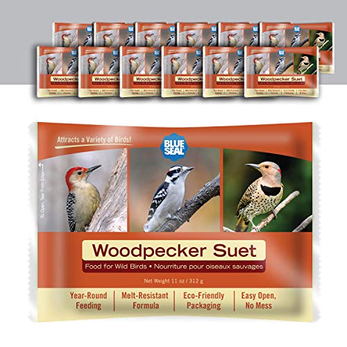 Blue Seal Woodpecker Suet Cake | Suet Cakes for Wild Birds | Melt Resistant | Year-Round Feeding | Food for Wild Birds | Made in The USA | 12 oz Suet Cakes (12 Pack)