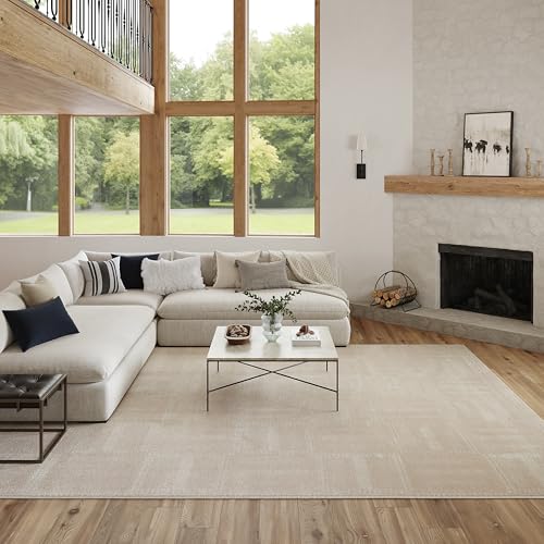 Nourison Nordic Taupe 8' x 10' Scandinavian Area Rug - Easy Cleaning, Non Shedding, Bed Room, Living Room, Dining Room, Kitchen (8' x 10')