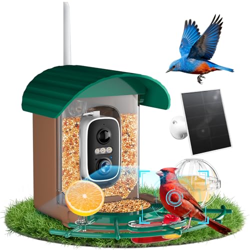 NIORSUN Smart Bird Feeder with Camera Solar Powered, 2K HD Video AI Recognition Feeder with Instant Notifications, Eagle Alarm, Infrared Night Vision, Ideal Gift for Family and Bird Lovers, Green