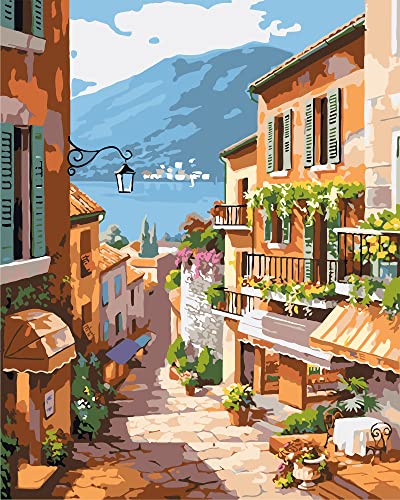 QUITEDEW Paint by Number for Adults Beginner,Scenery Paint by Numbers,Garden Paint by Numbers Kits Suitable for Home Wall Decoration 16x20 Inch
