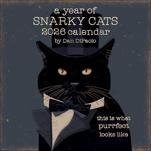 A Year of Snarky Cats 2026 Wall Calendar